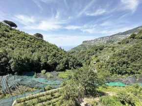 Casa Sangineto - Minori - Costa Amalfitana- A Paradise in the countryside